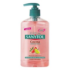 Skystas muilas su dozatoriumi Antibacterias Kitchen Sanytol, 250 ml kaina ir informacija | Muilai | pigu.lt