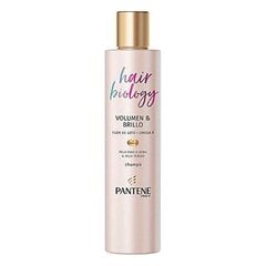 Apimties suteikiantis šampūnas Hair Biology Pantene, 250 ml kaina ir informacija | Šampūnai | pigu.lt