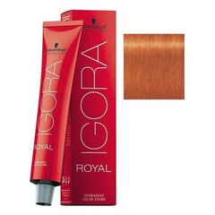 Plaukų dažymo kremas Schwarzkopf Igora Royal N 0-77, 60 ml цена и информация | Краска для волос | pigu.lt