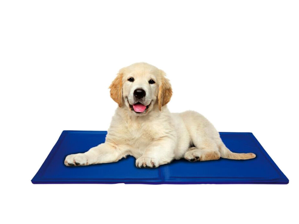 Vėsinantis kilimėlis šunims ir katėms, 40×50 cm цена и информация | Guoliai, pagalvėlės | pigu.lt
