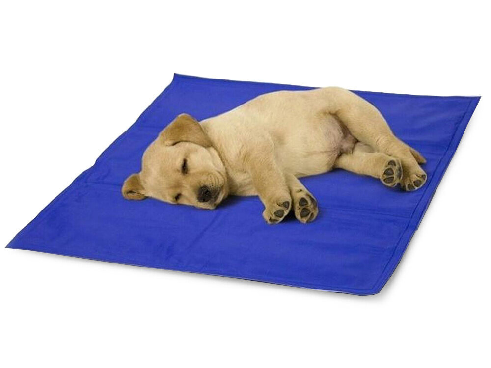 Vėsinantis kilimėlis šunims ir katėms, 40×50 cm цена и информация | Guoliai, pagalvėlės | pigu.lt