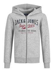 Jack & Jones megztinis berniukams 12218049*01, pilkas kaina ir informacija | Megztiniai, bluzonai, švarkai berniukams | pigu.lt