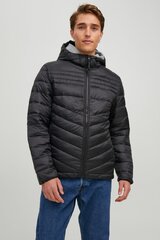 Мужская куртка Jack & Jones 80г 5715307363714 цена и информация | Мужские куртки | pigu.lt