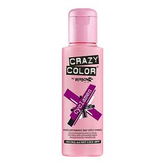 Ilgalaikiai plaukų dažai Crazy Color Cyclamen Nº 41, 100 ml kaina ir informacija | Plaukų dažai | pigu.lt