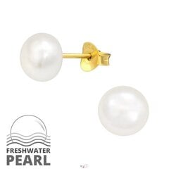 Auksuoti sidabriniai auskarai su perlais A4S41110 kaina ir informacija | Auskarai | pigu.lt
