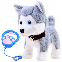 Интерактивный щенок с поводком цена и информация | Игрушки для девочек | pigu.lt