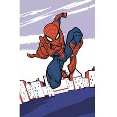 Vaikiškas rankšluostis Spiderman, 30x50 cm kaina ir informacija | Rankšluosčiai | pigu.lt