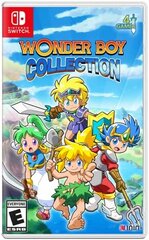 SWITCH Wonder Boy Collection kaina ir informacija | Kompiuteriniai žaidimai | pigu.lt