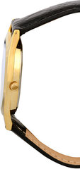 Laikrodis moterims Secco S A5036 2-231 kaina ir informacija | Moteriški laikrodžiai | pigu.lt