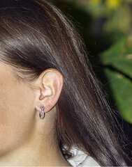 Apvalūs sidabriniai auskarai Beneto AGU1201 kaina ir informacija | Auskarai | pigu.lt