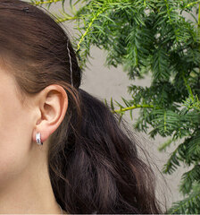 Apvalūs sidabriniai auskarai Beneto AGU1151 kaina ir informacija | Auskarai | pigu.lt