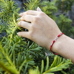 Beneto Шнур красный каббала браслет бесконечность AGB383 цена и информация | Женские браслеты | pigu.lt