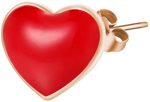 Очаровательная серьга Rosato Heart Story RZO019 цена и информация | Серьги | pigu.lt