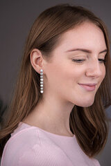 Nerūdijančio plieno auskarai moterims Troli kaina ir informacija | Auskarai | pigu.lt