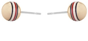 Tommy Hilfiger Бронзовые серьги-гвоздики из стали 2780519 цена и информация | Серьги | pigu.lt