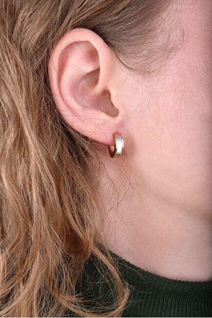 Bronziniai auskarai su perlais Troli kaina ir informacija | Auskarai | pigu.lt