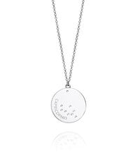 Viceroy Серебряное ожерелье знак Козерог Гороскоп 61014C000-38C цена и информация | Украшения на шею | pigu.lt