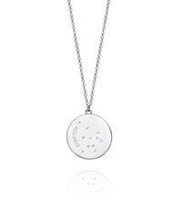 Viceroy Серебряное ожерелье знак Водолей Гороскоп 61014C000-38A цена и информация | Украшения на шею | pigu.lt