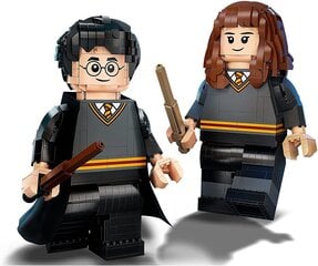 LEGO Harry Potter 76393 Гарри Поттер и Гермиона цена и информация | Конструкторы и кубики | pigu.lt