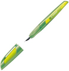 Перьевая ручка Easybuddy M, светло-зеленая-зеленая цена и информация | Письменные принадлежности | pigu.lt