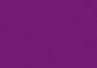 Viskozės filcas violetinis 20x30 cm kaina ir informacija | Papuošalų gamybai, vėrimui | pigu.lt