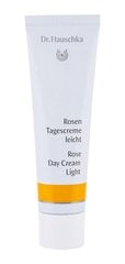 Оттеночный солнцезащитный крем для лица Dr. Hauschka Tinted Face Sun Cream SPF30, 40 мл цена и информация | Кремы от загара | pigu.lt