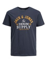 Jack&Jones vyriški marškinėliai 12210819*01 kaina ir informacija | Vyriški marškinėliai | pigu.lt