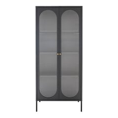 Vitrina Adelaide, 80x35x180 cm, juoda kaina ir informacija | Vitrinos, indaujos | pigu.lt