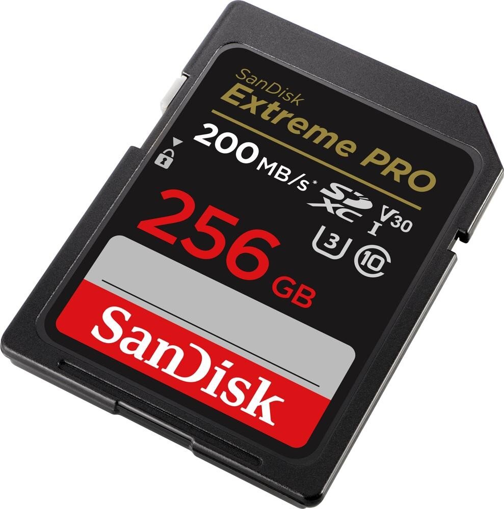 SanDisk Extreme PRO 256 GB SDXC UHS-I Class 10 kaina ir informacija | Atminties kortelės telefonams | pigu.lt