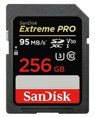 Sandisk от Western Digital SDSDXXD-256G-GN4IN 256 ГБ цена и информация | Карты памяти для телефонов | pigu.lt