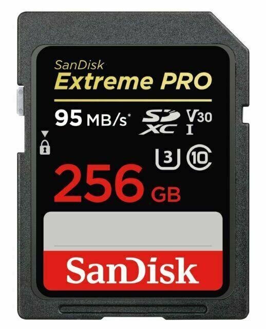 Sandisk By Western Digital SDSDXXD-256G-GN4IN 256 GB kaina ir informacija | Atminties kortelės telefonams | pigu.lt
