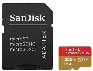 SanDisk Extreme PLUS microSDXC SDSQXBD-256G-GN6MA kaina ir informacija | Atminties kortelės fotoaparatams, kameroms | pigu.lt