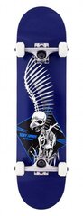 Riedlentė Birdhouse Stage 1 Full Skull 2 Blue 7.5" X 31" цена и информация | Скейтборды | pigu.lt