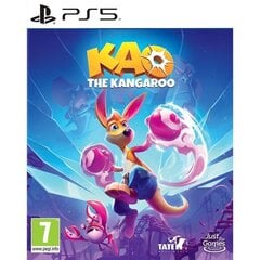 Kao The Kangaroo kaina ir informacija | Kompiuteriniai žaidimai | pigu.lt