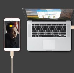 USB įkroviklio kabelis LIGHTNING iPad iPhone Quick Charge 3.0 1,5 m цена и информация | Кабели для телефонов | pigu.lt