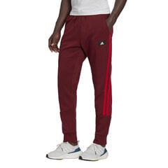 Sportinės kelnės vyrams Adidas Sportswear Future Icons 3-Stripes Pants M HC5262, raudonos цена и информация | Мужская спортивная одежда | pigu.lt