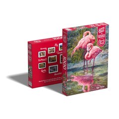 CherryPazzi dėlionė Bingo Flamingo 1000 detalių kaina ir informacija | Dėlionės (puzzle) | pigu.lt