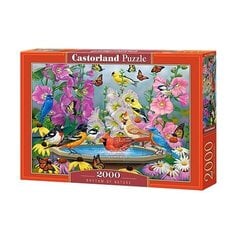 Головоломка Castorland Rhythmn of nature 2000 д. цена и информация | Пазлы | pigu.lt