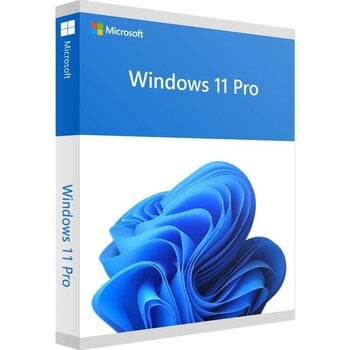 Microsoft Windows 11 Pro kaina ir informacija | Operacinės sistemos | pigu.lt