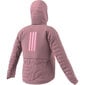 Sriukė moterims Adidas W Terrex Myshelter Primaloft Hooded Jacket W H51460, rožinė kaina ir informacija | Striukės moterims | pigu.lt