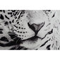 Paveikslas DKD Home Decor Leopardas, 100 x 2,5 x 100 cm, 2 vnt. цена и информация | Reprodukcijos, paveikslai | pigu.lt