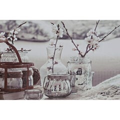 Картина DKD Home Decor, Цветы (50 x 1,8 x 40 cm) (4 шт.) цена и информация | Репродукции, картины | pigu.lt