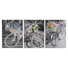Картина DKD Home Decor, Велосипед (50 x 2,5 x 70 cm) (3 шт.) цена и информация | Репродукции, картины | pigu.lt