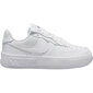 Laisvalaikio batai moterims Nike Air Force 1 Fontanka W DH1290-100 kaina ir informacija | Sportiniai bateliai, kedai moterims | pigu.lt