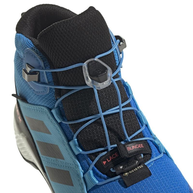 Žygio batai vaikams Adidas Terrex Mid Gtx K Jr GY7682, mėlyni kaina ir informacija | Aulinukai vaikams | pigu.lt