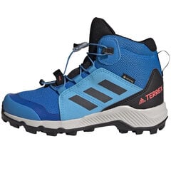 Кеды походные детские Adidas Terrex Mid Gtx K Jr GY7682, синие цена и информация | Детские сапоги | pigu.lt