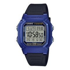 Laikrodis Casio W800HM2A kaina ir informacija | Vyriški laikrodžiai | pigu.lt