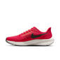 Kedai vyrams Nike Air Zoom Pegasus 39 M, raudoni kaina ir informacija | Kedai vyrams | pigu.lt