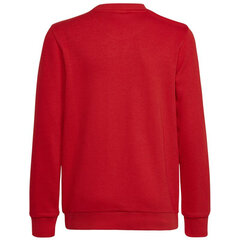 Džemperis berniukams Adidas Big Logo Swt Jr HN1911 kaina ir informacija | Megztiniai, bluzonai, švarkai berniukams | pigu.lt
