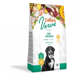 Calibra Dog Verve GF Adult Large Chicken&Duck su paukštiena, 12 kg kaina ir informacija | Sausas maistas šunims | pigu.lt